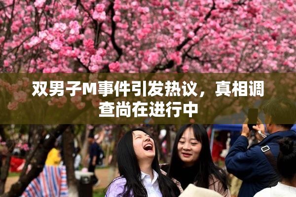 双男子M事件引发热议，真相调查尚在进行中