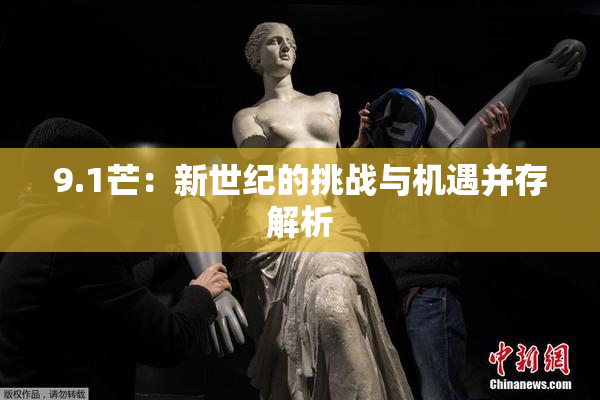9.1芒：新世纪的挑战与机遇并存解析