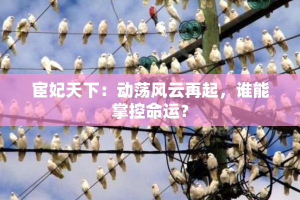 宦妃天下：动荡风云再起，谁能掌控命运？
