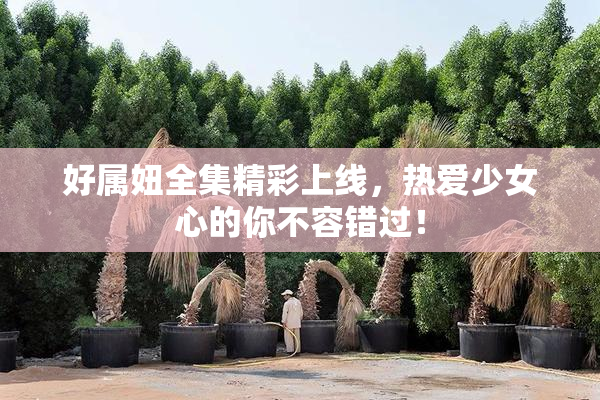 好属妞全集精彩上线，热爱少女心的你不容错过！