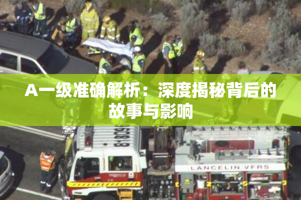 A一级准确解析：深度揭秘背后的故事与影响