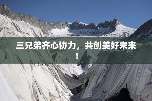 三兄弟齐心协力，共创美好未来！