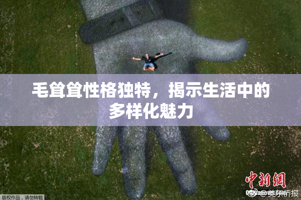 毛耸耸性格独特，揭示生活中的多样化魅力