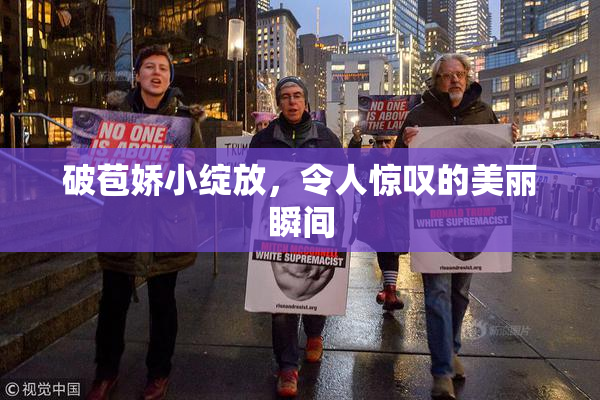 破苞娇小绽放，令人惊叹的美丽瞬间