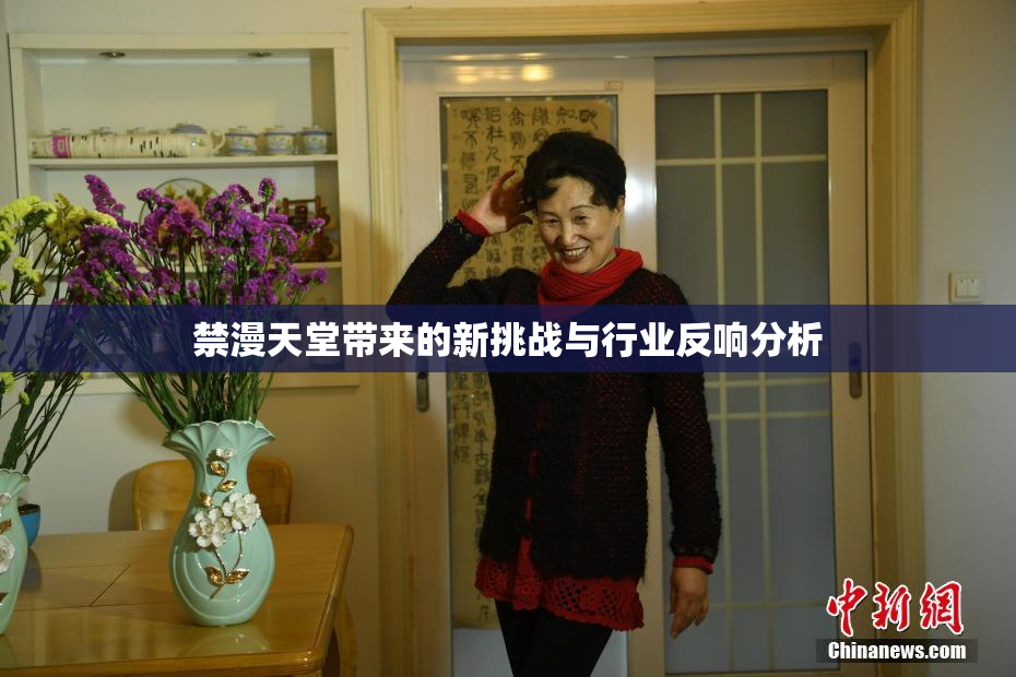 禁漫天堂带来的新挑战与行业反响分析