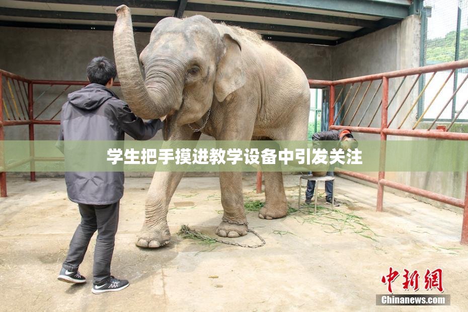学生把手摸进教学设备中引发关注