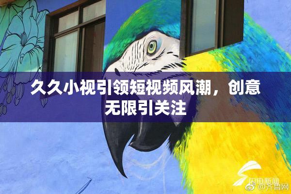 久久小视引领短视频风潮，创意无限引关注