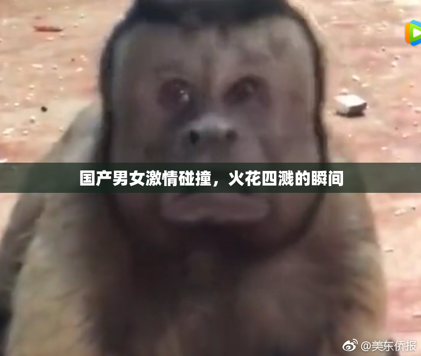 国产男女激情碰撞，火花四溅的瞬间