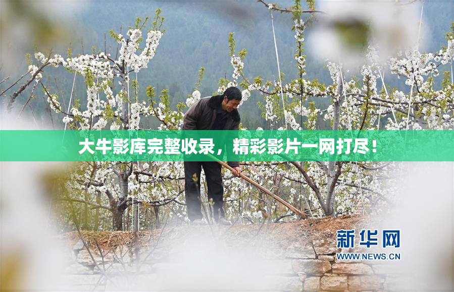 大牛影库完整收录，精彩影片一网打尽！