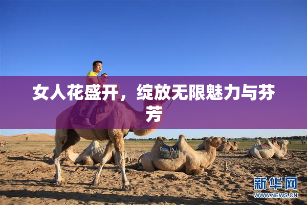 女人花盛开，绽放无限魅力与芬芳