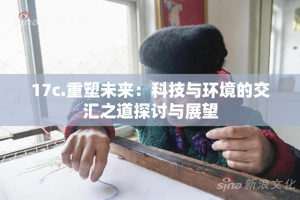 17c.重塑未来：科技与环境的交汇之道探讨与展望