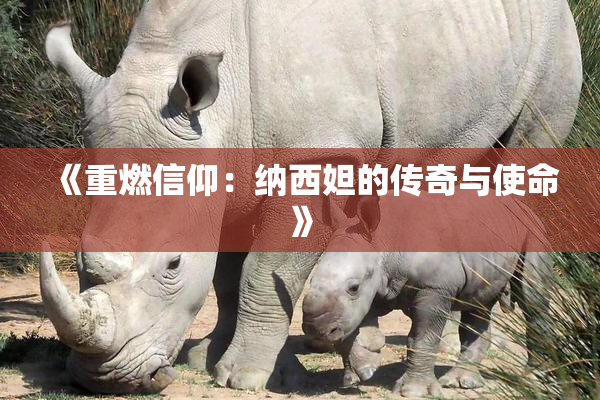 《重燃信仰：纳西妲的传奇与使命》