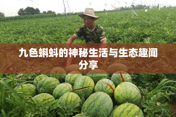 九色蝌蚪的神秘生活与生态趣闻分享
