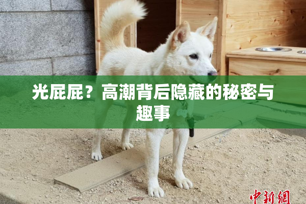 光屁屁？高潮背后隐藏的秘密与趣事