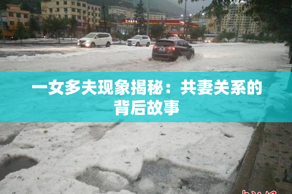 一女多夫现象揭秘：共妻关系的背后故事