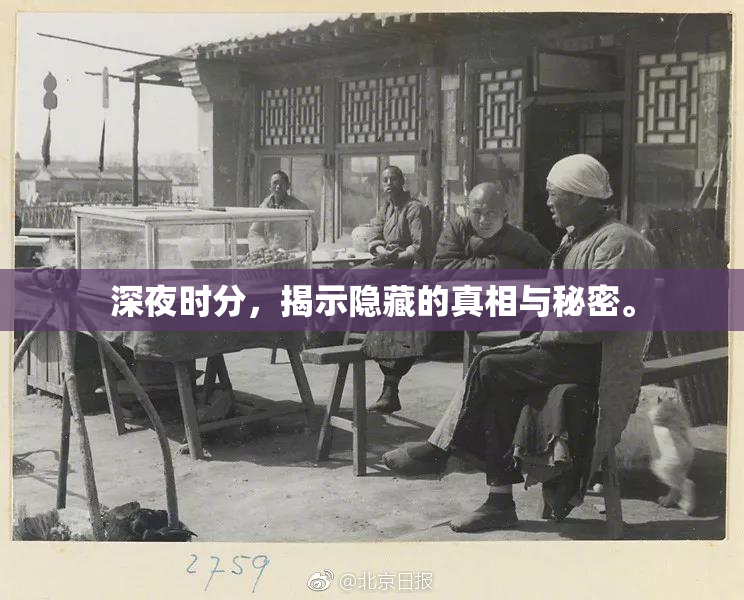 深夜时分，揭示隐藏的真相与秘密。