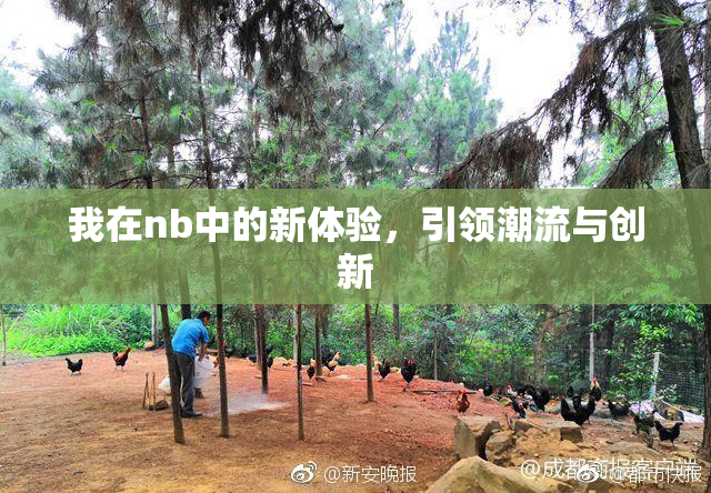 我在nb中的新体验，引领潮流与创新