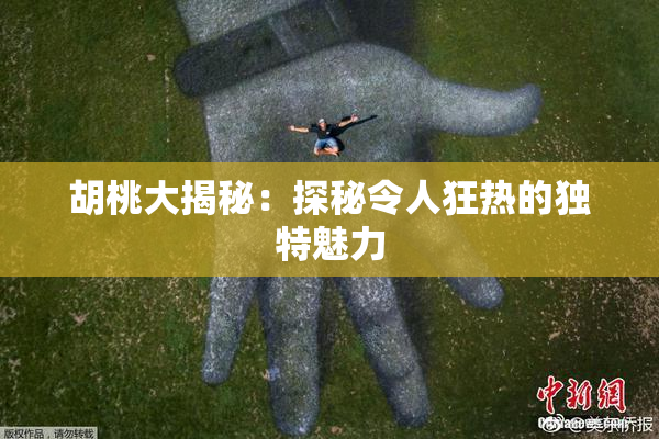 胡桃大揭秘：探秘令人狂热的独特魅力
