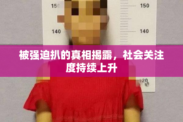 被强迫扒的真相揭露，社会关注度持续上升
