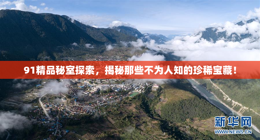 91精品秘室探索，揭秘那些不为人知的珍稀宝藏！