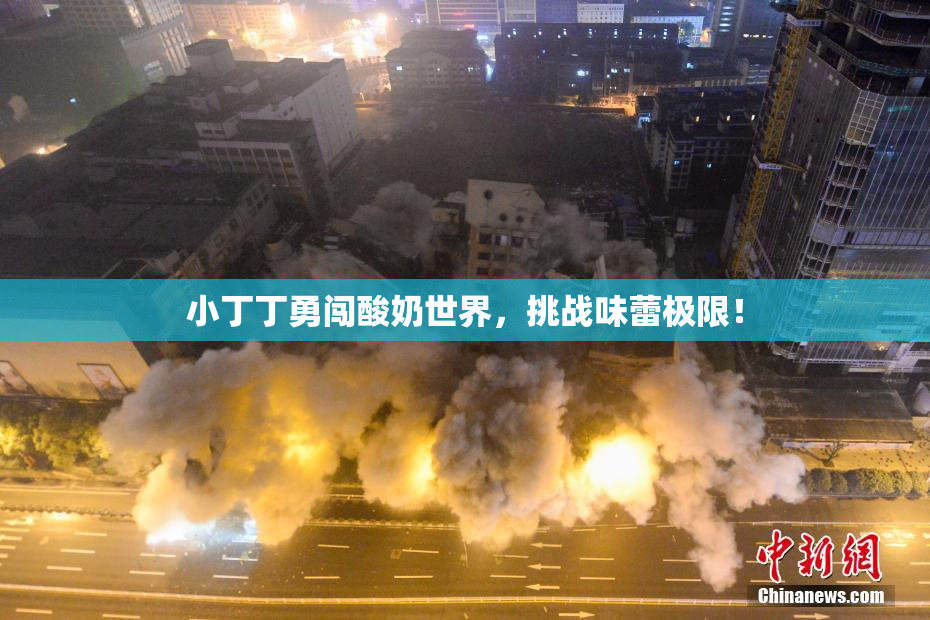 小丁丁勇闯酸奶世界，挑战味蕾极限！