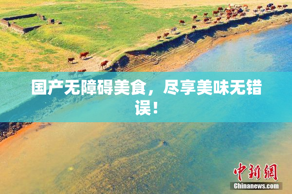 国产无障碍美食，尽享美味无错误！