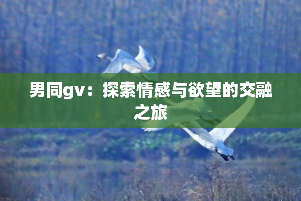 男同gv：探索情感与欲望的交融之旅