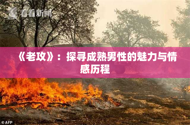 《老攻》：探寻成熟男性的魅力与情感历程