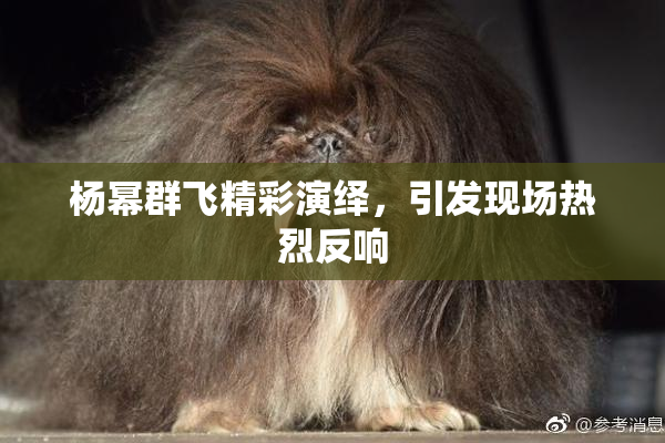杨幂群飞精彩演绎，引发现场热烈反响