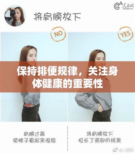 保持排便规律，关注身体健康的重要性