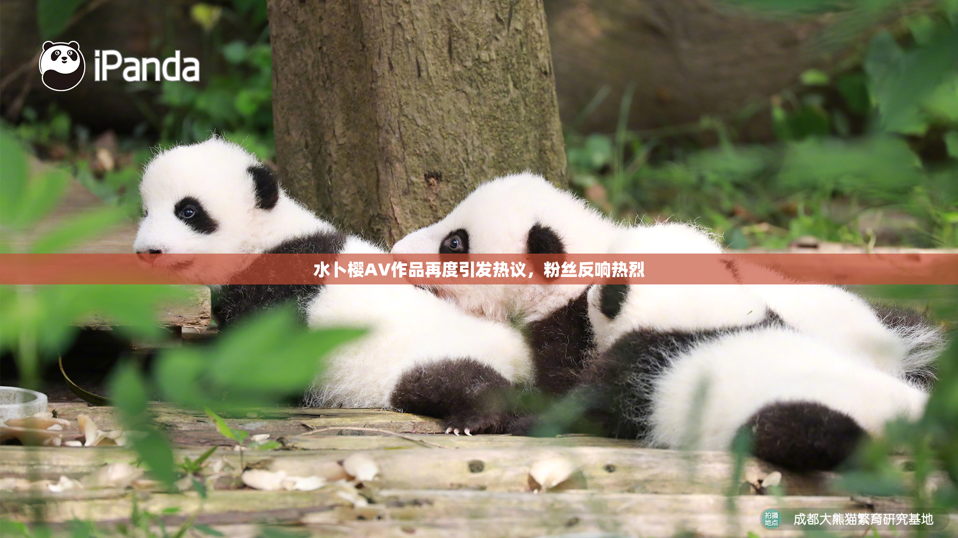 水卜樱AV作品再度引发热议，粉丝反响热烈