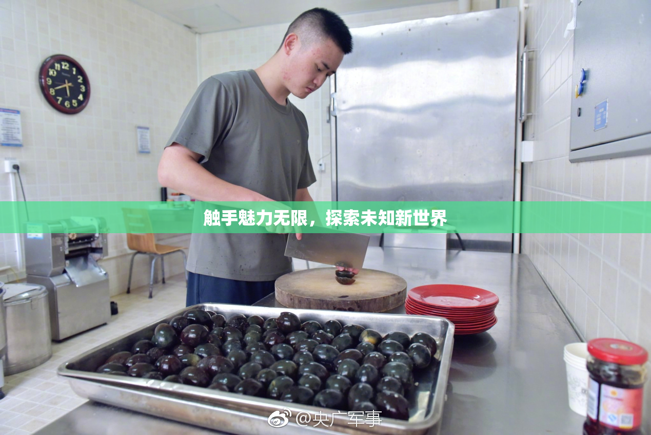 触手魅力无限，探索未知新世界