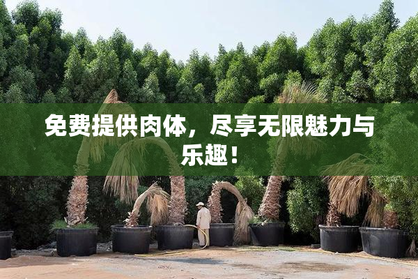 免费提供肉体，尽享无限魅力与乐趣！