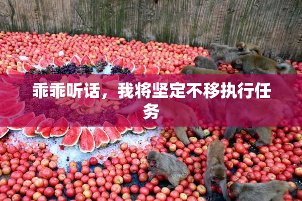 乖乖听话，我将坚定不移执行任务