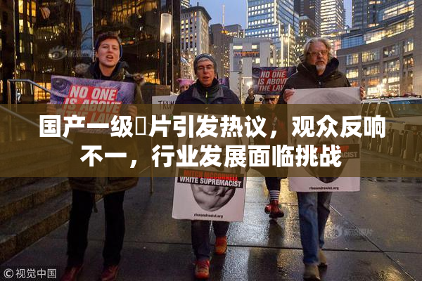 国产一级婬片引发热议，观众反响不一，行业发展面临挑战