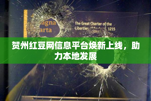 贺州红豆网信息平台焕新上线，助力本地发展