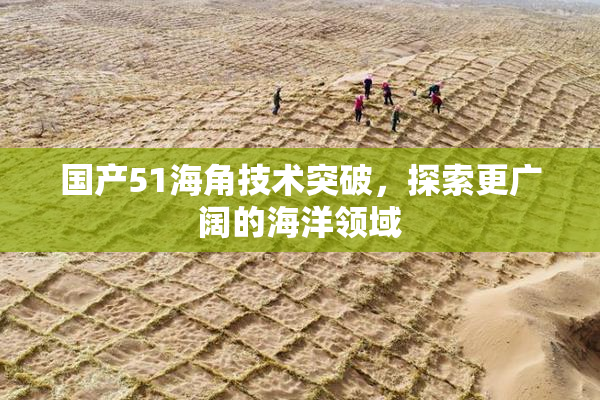 国产51海角技术突破，探索更广阔的海洋领域