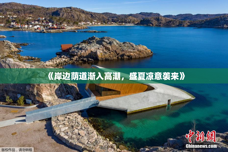 《岸边荫道渐入高潮，盛夏凉意袭来》