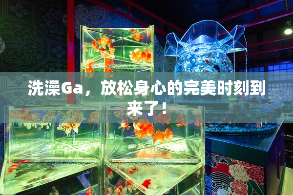 洗澡Ga，放松身心的完美时刻到来了！