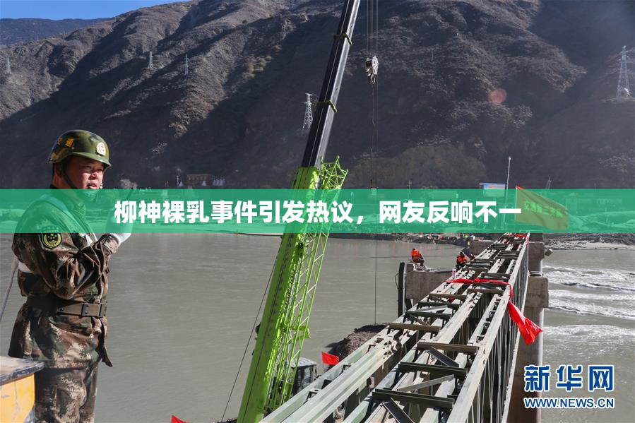 柳神裸乳事件引发热议，网友反响不一