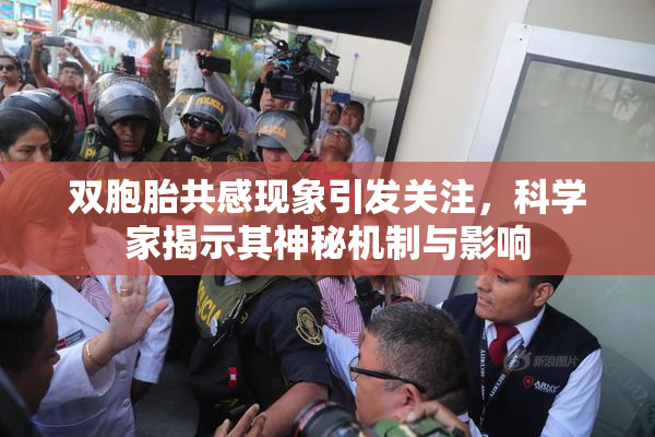 双胞胎共感现象引发关注，科学家揭示其神秘机制与影响