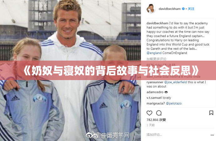 《奶奴与寝奴的背后故事与社会反思》