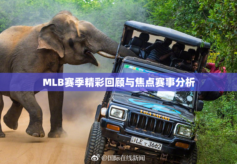 MLB赛季精彩回顾与焦点赛事分析