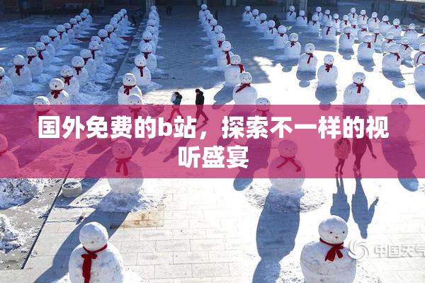 国外免费的b站，探索不一样的视听盛宴