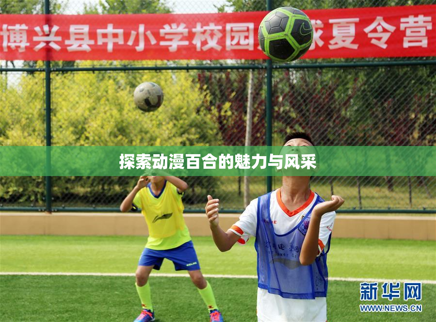 探索动漫百合的魅力与风采