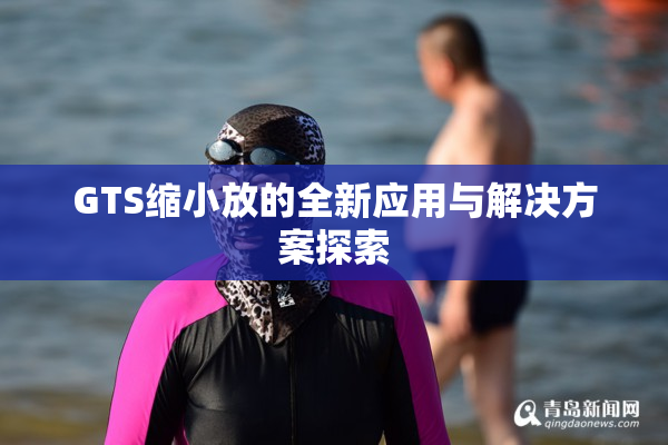 GTS缩小放的全新应用与解决方案探索