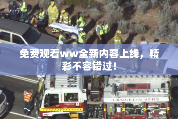 免费观看ww全新内容上线，精彩不容错过！