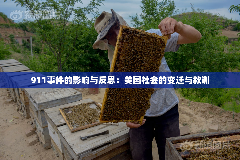 911事件的影响与反思：美国社会的变迁与教训