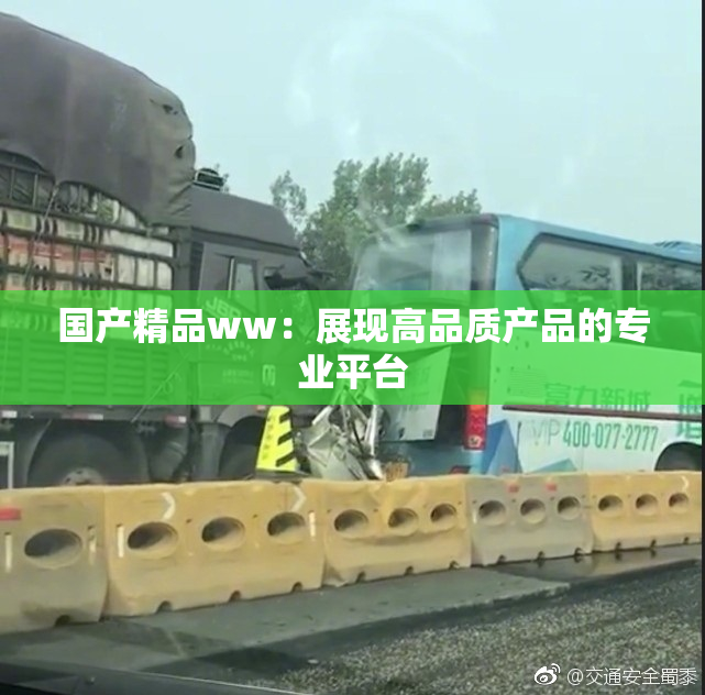 国产精品ww：展现高品质产品的专业平台