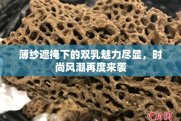 薄纱遮掩下的双乳魅力尽显，时尚风潮再度来袭
